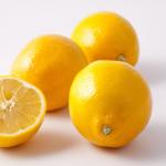 Фотообои Лимоны 