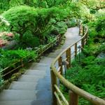 Фотообои Японский сад в Канаде 