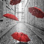 Фотообои с красными зонтиками