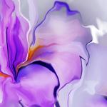 Фиолетовые цветы 4317